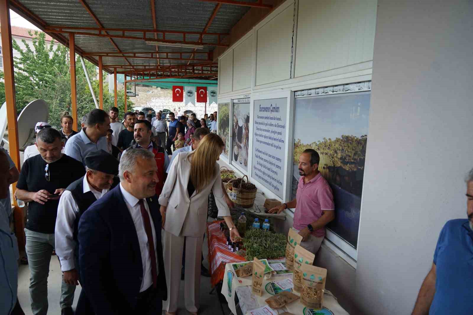 Muğla’da çam fıstığı paneli düzenlendi
