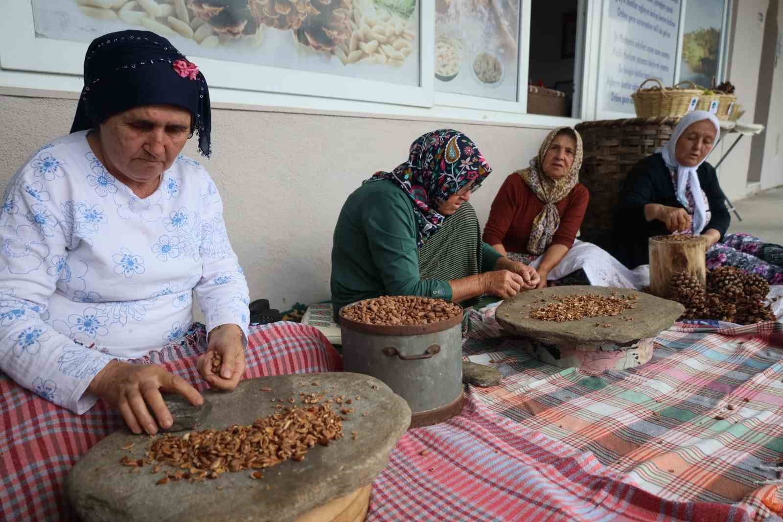 Muğla’da çam fıstığı paneli düzenlendi
