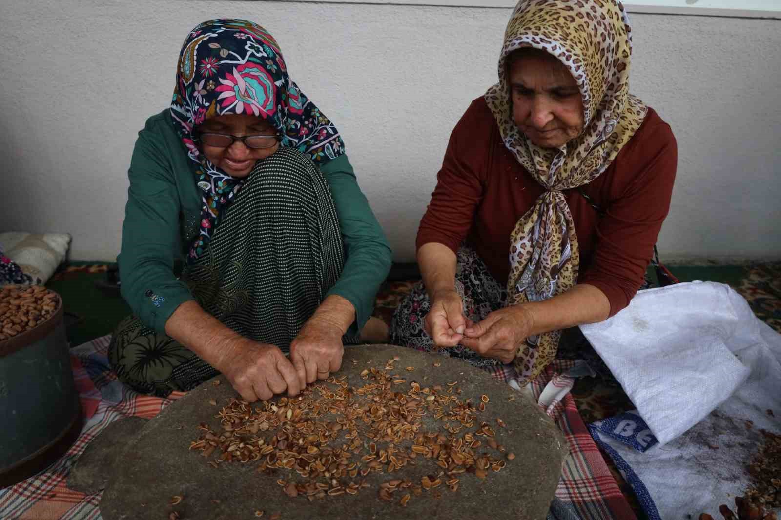 Muğla’da çam fıstığı paneli düzenlendi
