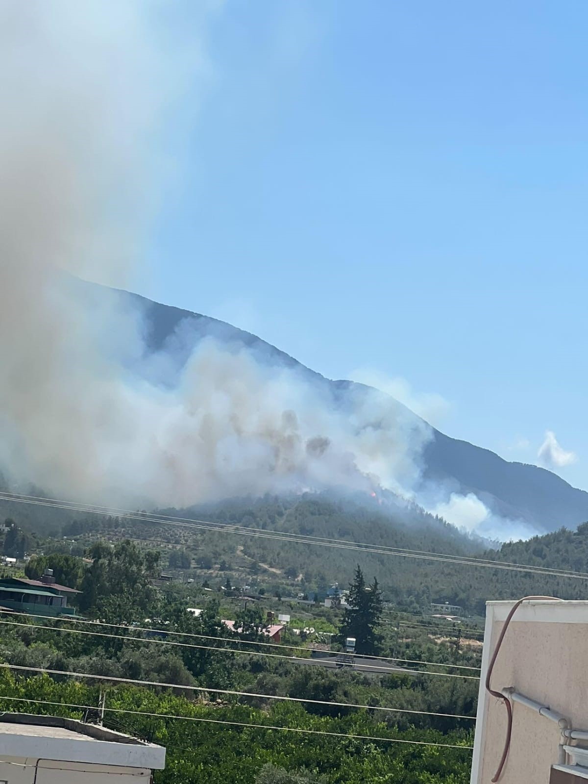 Hatay’da orman yangını
