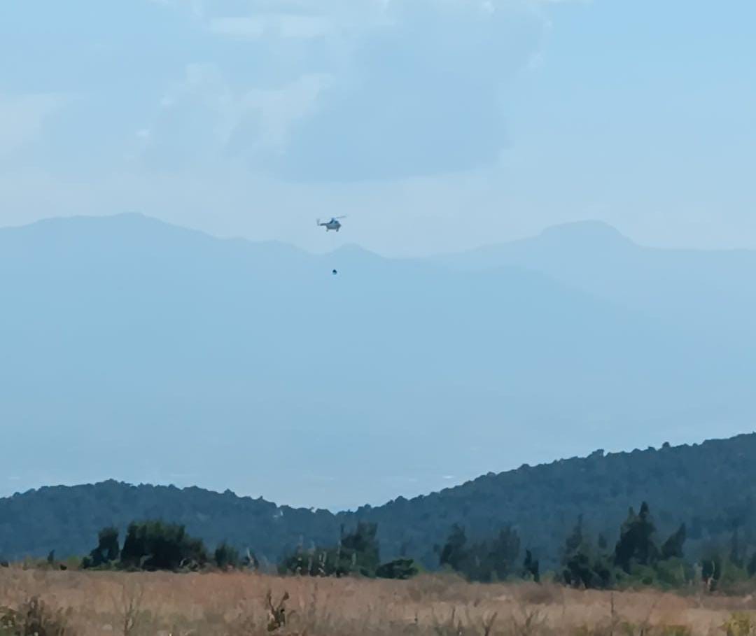 Ormanlık alanda çıkan yangın kısa sürede söndürüldü
