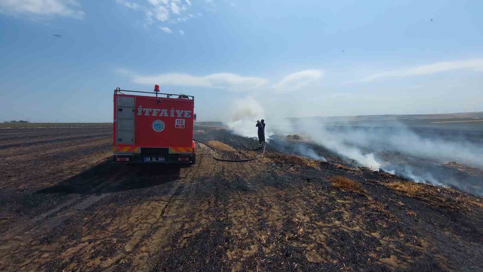 Tekirdağ’da bin 500 dönümlük alan yandı: 1 yaralı
