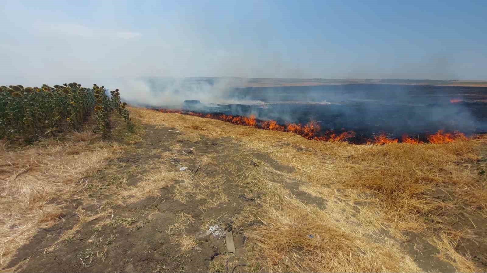 Tekirdağ’da bin 500 dönümlük alan yandı: 1 yaralı
