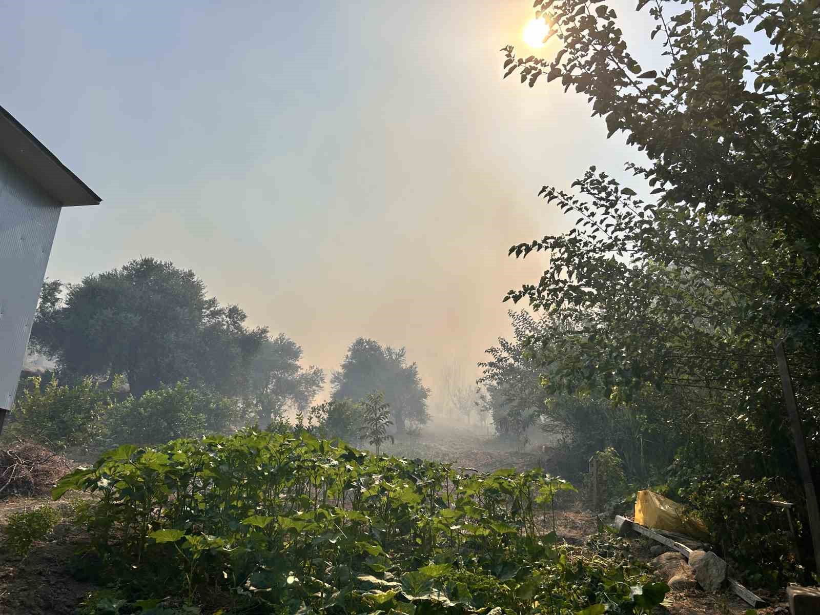 Hatay’daki orman yangını 4 saatlik müdahaleyle kontrol altına alındı
