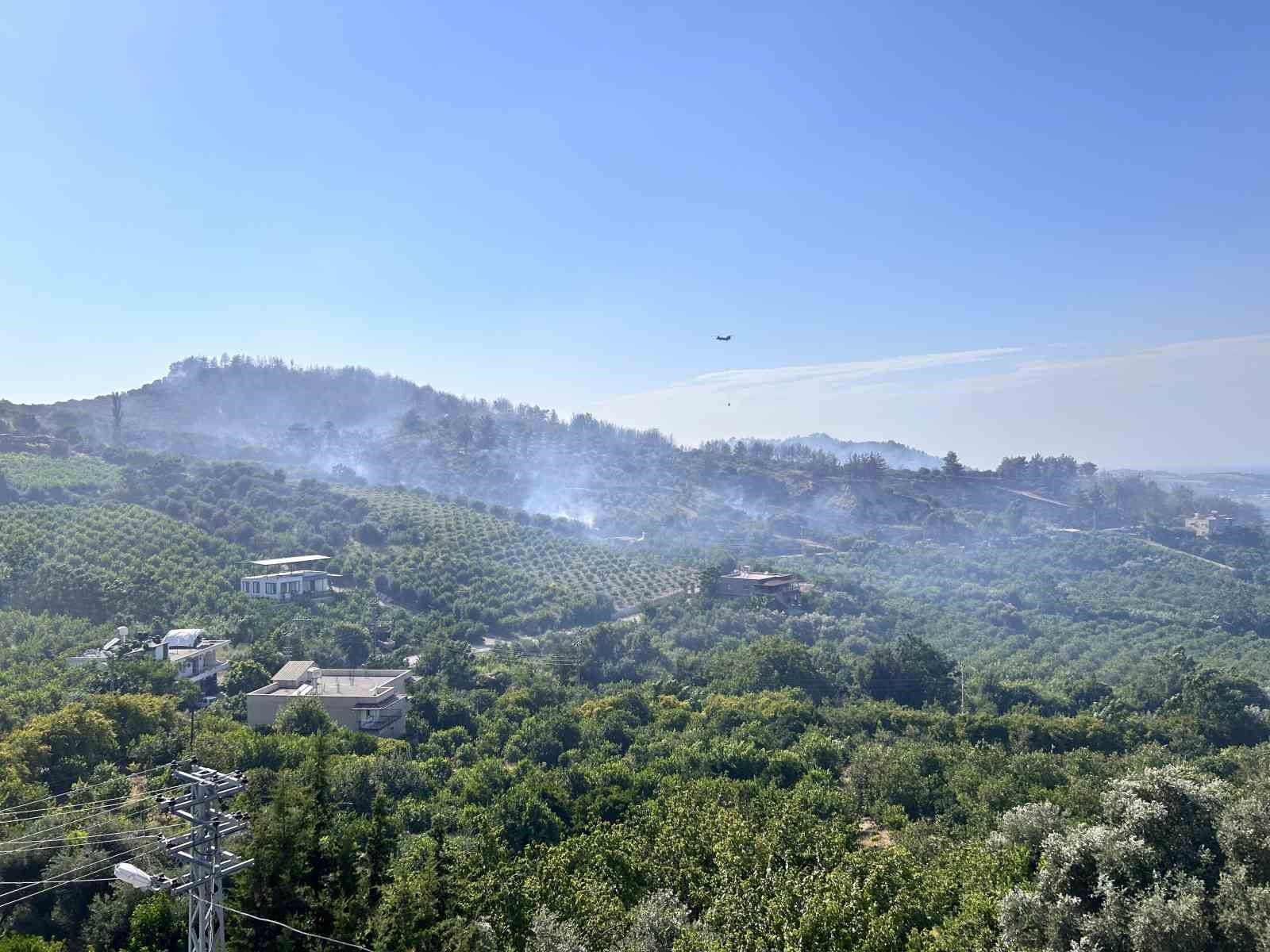 Hatay’daki orman yangını 4 saatlik müdahaleyle kontrol altına alındı
