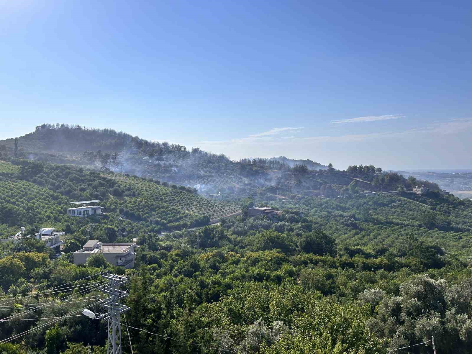 Hatay’daki orman yangını 4 saatlik müdahaleyle kontrol altına alındı
