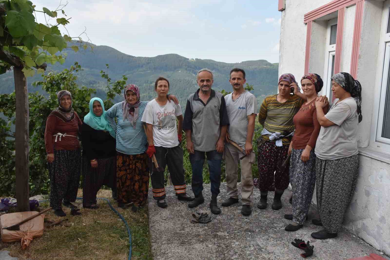 Fındık hasadına günler kala üretici, temizlik için bahçeye girdi
