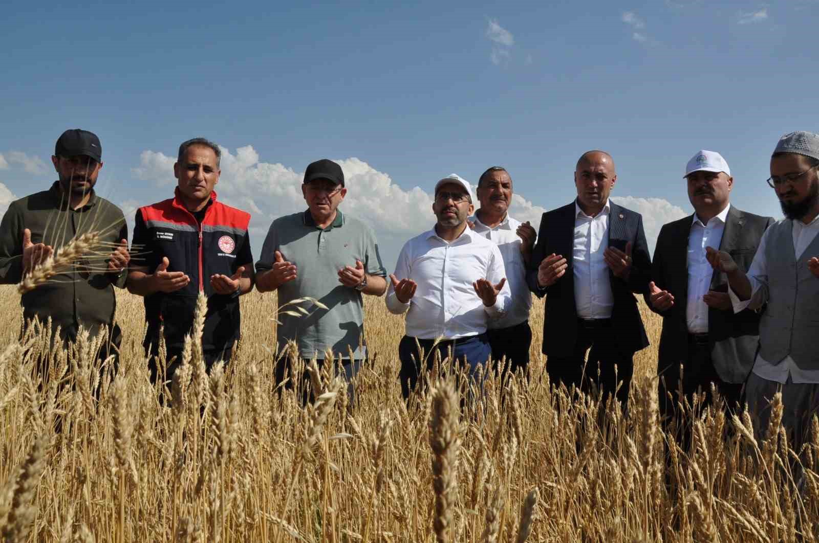 Kars’ta yüzde 50 hibeyle dağıtılan tohumlar tarlalara ekildi
