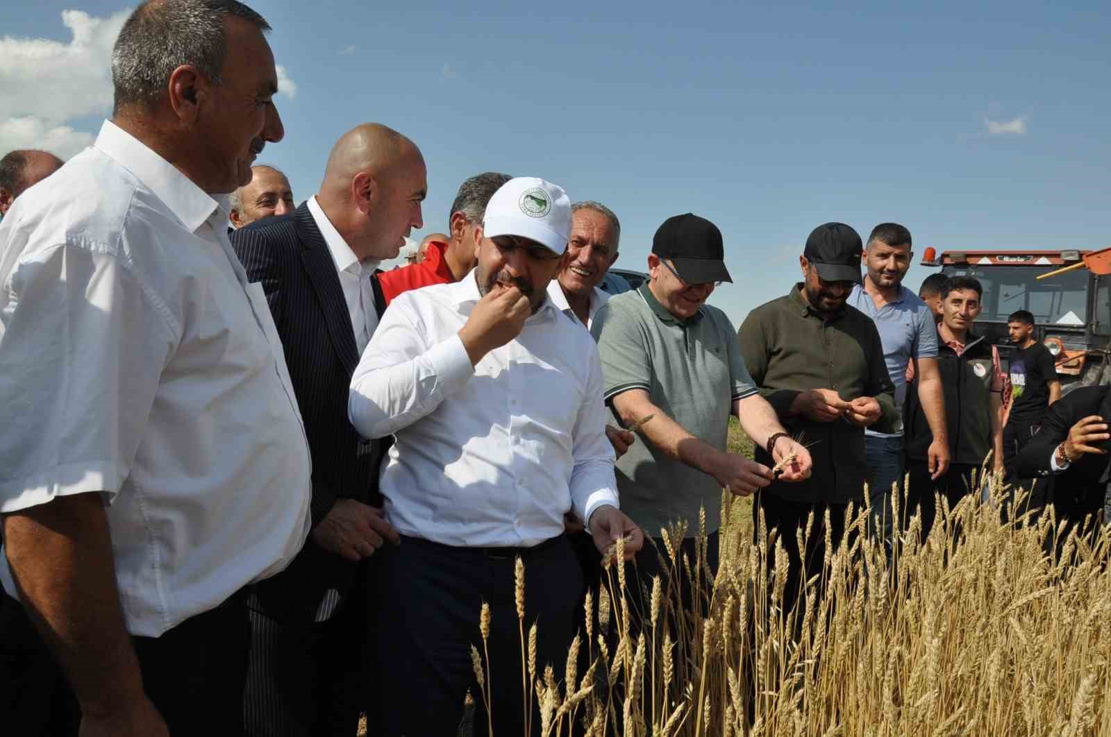 Kars’ta yüzde 50 hibeyle dağıtılan tohumlar tarlalara ekildi
