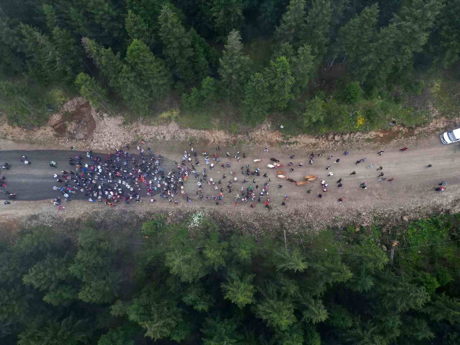 İneklerini gelin gibi süslediler yaylanın yolunu tuttular
