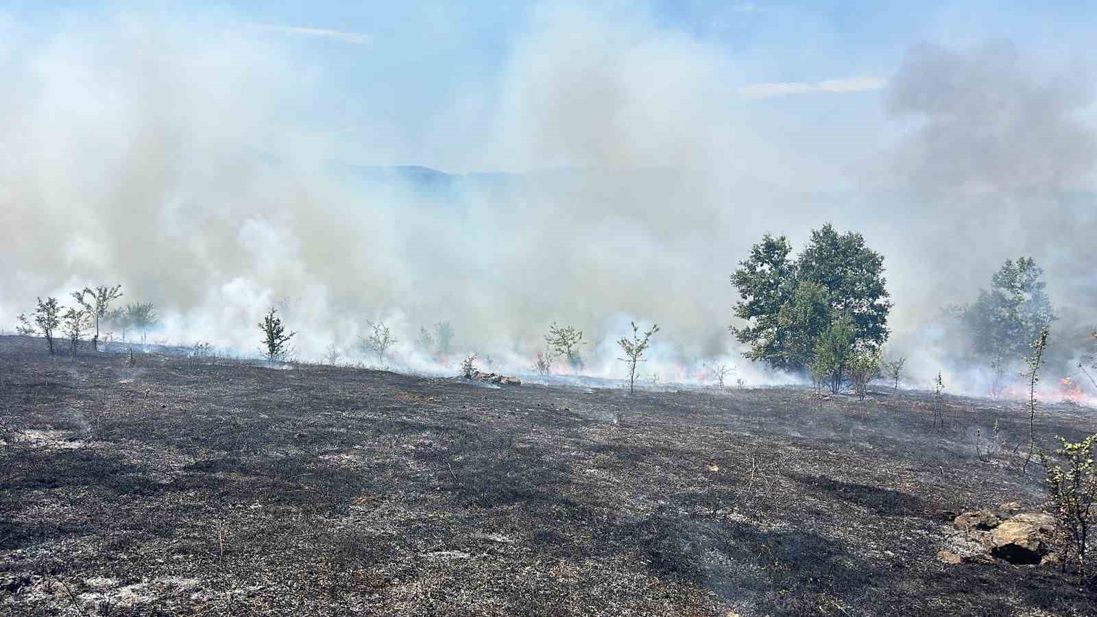 Samsun’da 25 dönümlük tarım arazisi yangında zarar gördü
