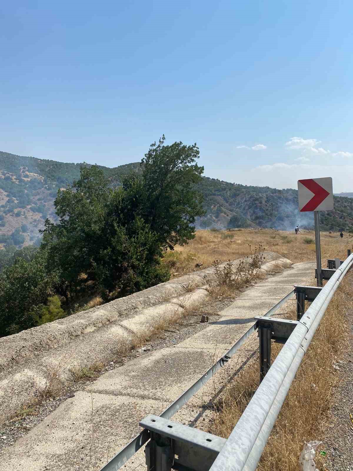 Siirt’te çıkan orman yangını kontrol altına alındı
