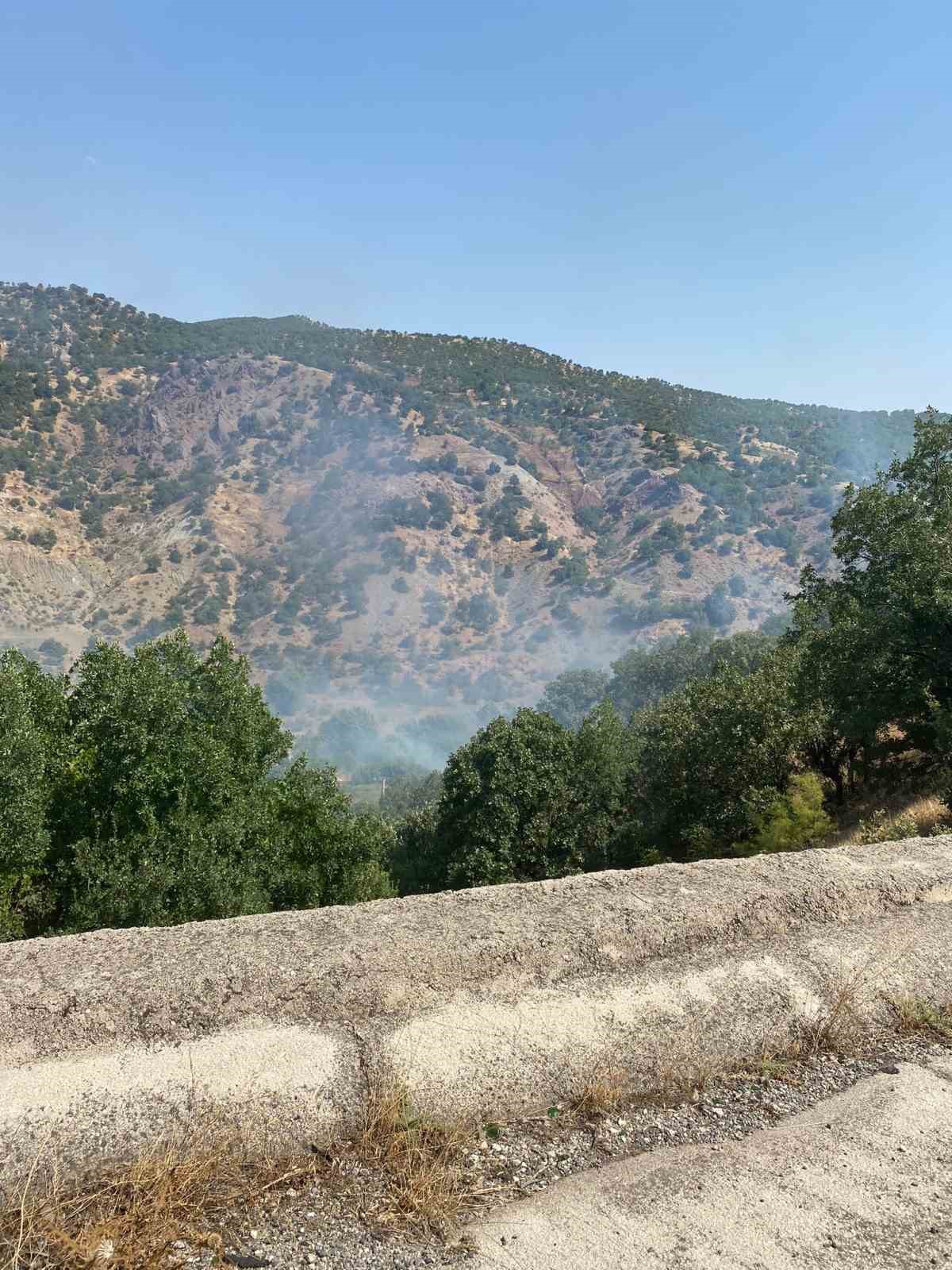 Siirt’te çıkan orman yangını kontrol altına alındı
