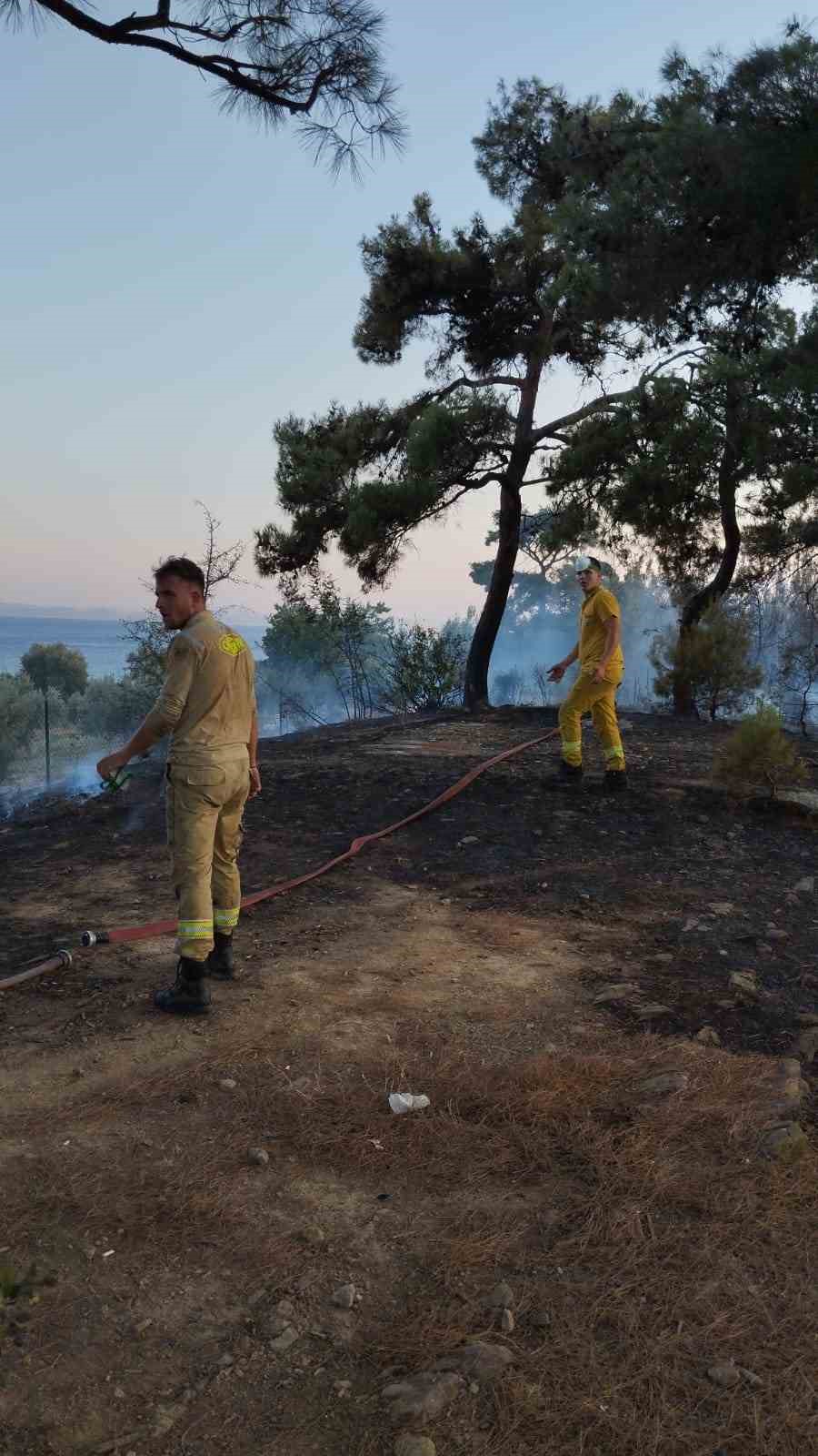 Piknik ateşinden çıkan orman yangını söndürüldü
