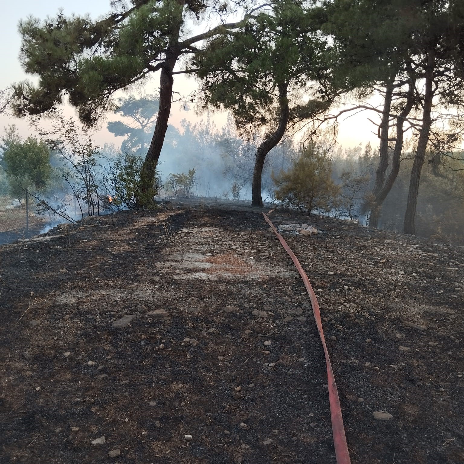 Piknik ateşinden çıkan orman yangını söndürüldü
