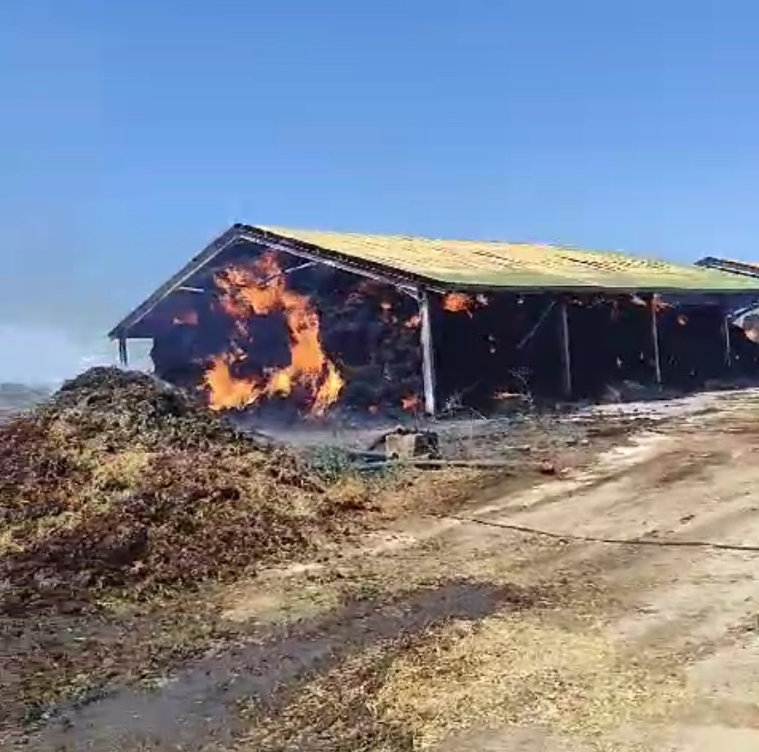 Hayvan çiftliğindeki saman yangını korkuttu
