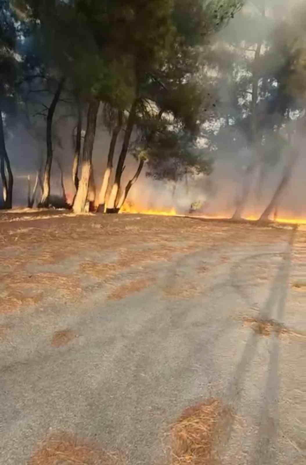 Piknik alanında çıkan yangın ormana sıçramadan söndürüldü
