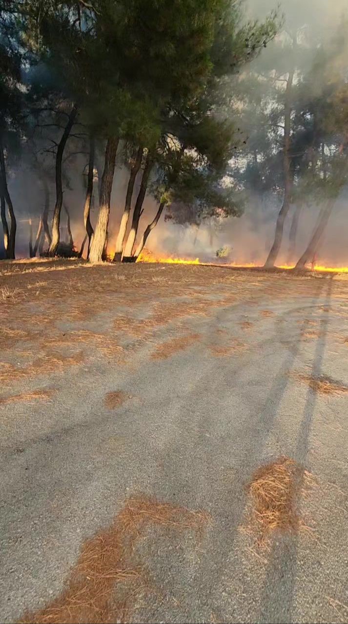 Piknik alanında çıkan yangın ormana sıçramadan söndürüldü
