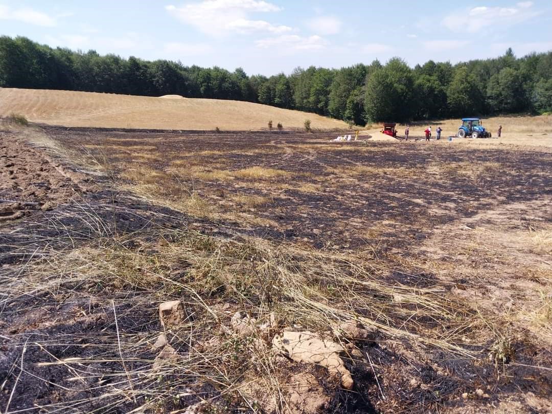 Samsun’da buğday arazisinde yangın: 200 dekar alandaki buğdaylar yandı
