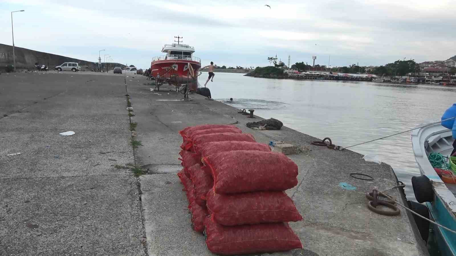 Yaz döneminde balıkçıların geçim kaynağı deniz salyangozu ekonomik katkı sağlıyor
