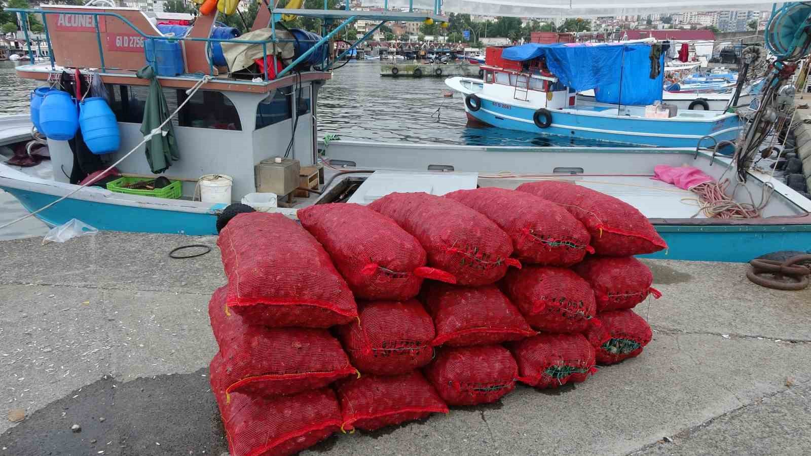 Yaz döneminde balıkçıların geçim kaynağı deniz salyangozu ekonomik katkı sağlıyor
