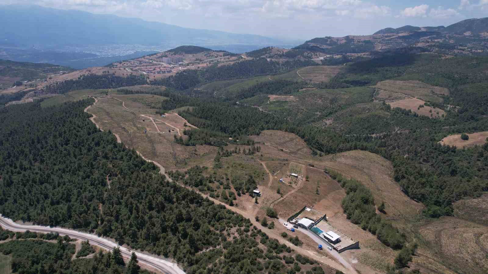 Yüzlerce ağaç kesildi yürek dayanmadı, köylüler kesilen ağaçlar için hıçkıra hıçkıra ağladı
