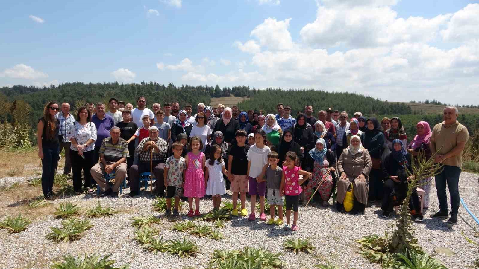 Yüzlerce ağaç kesildi yürek dayanmadı, köylüler kesilen ağaçlar için hıçkıra hıçkıra ağladı
