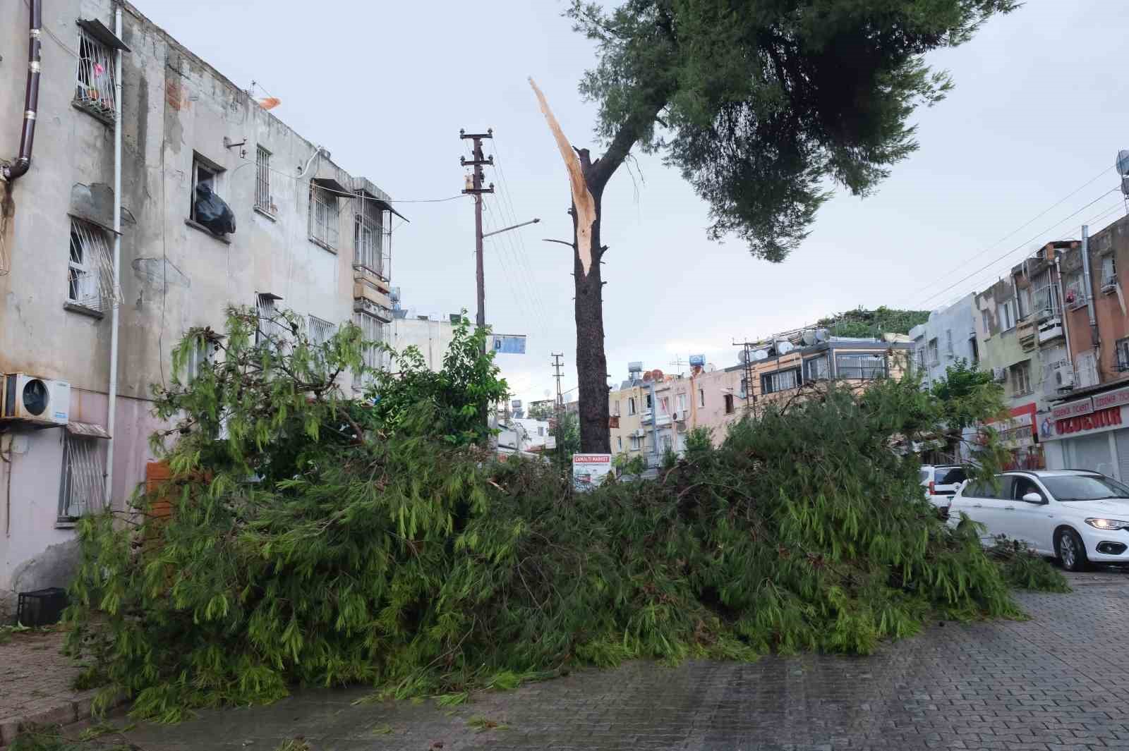 Küçük çocuk fırtınada devrilen ağacın altında kalmaktan son anda kurtuldu
