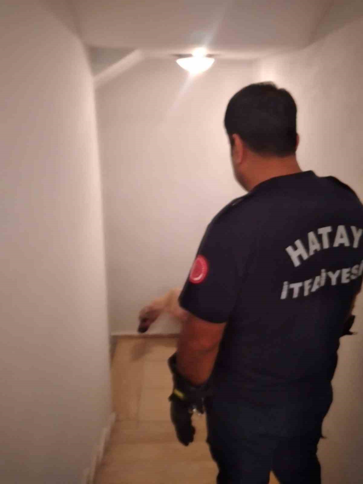 Hassa’da apartmanda mahsur kalan köpek kurtarıldı
