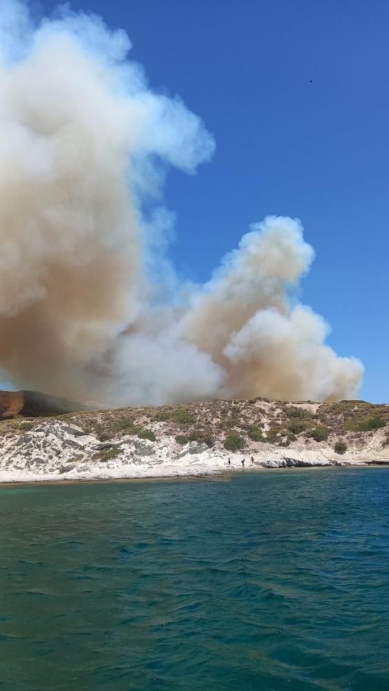 Çeşme’deki orman yangınına havadan ve karadan müdahale
