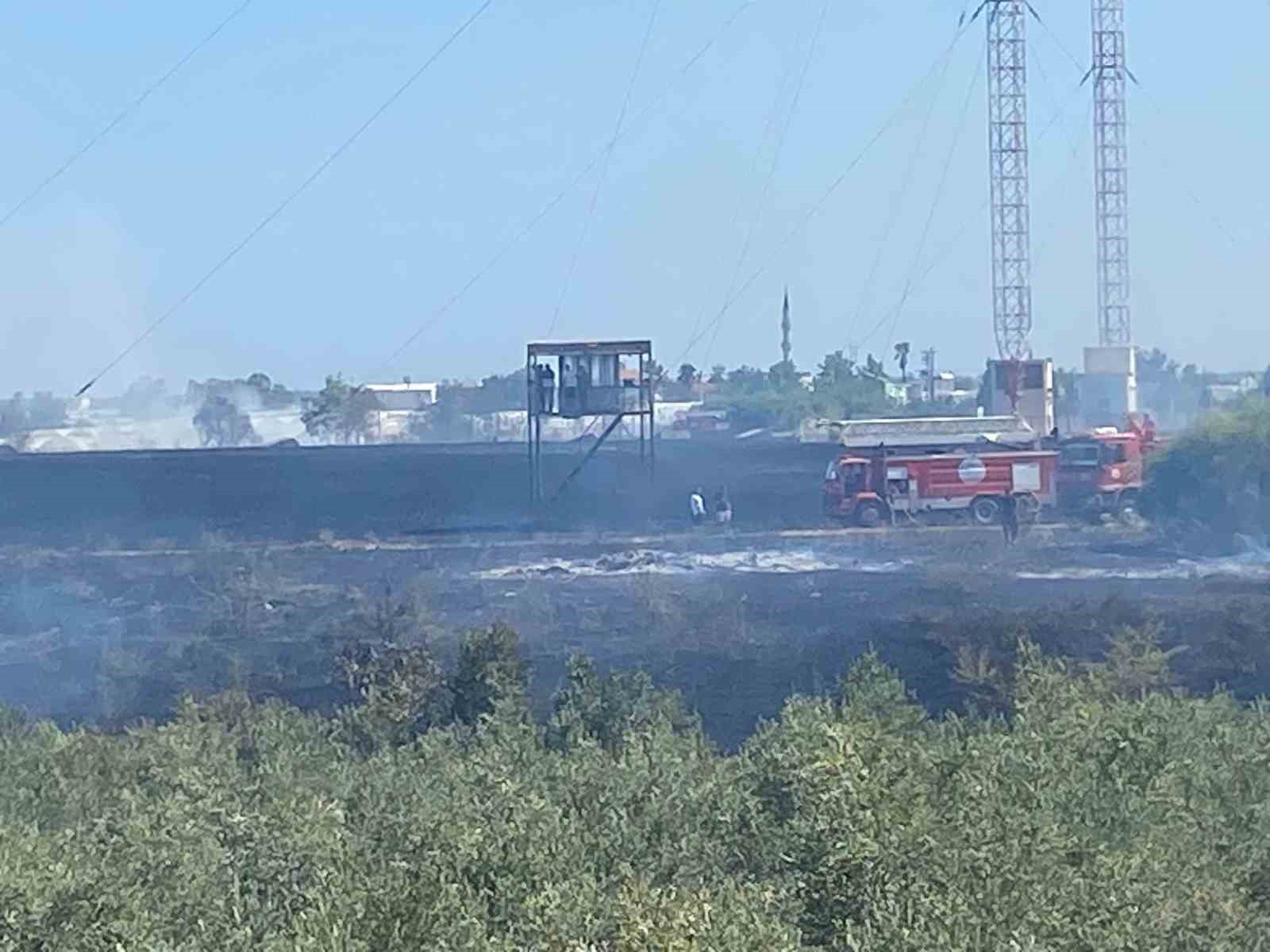 Serik’te korkutan yangında seralar zarar gördü
