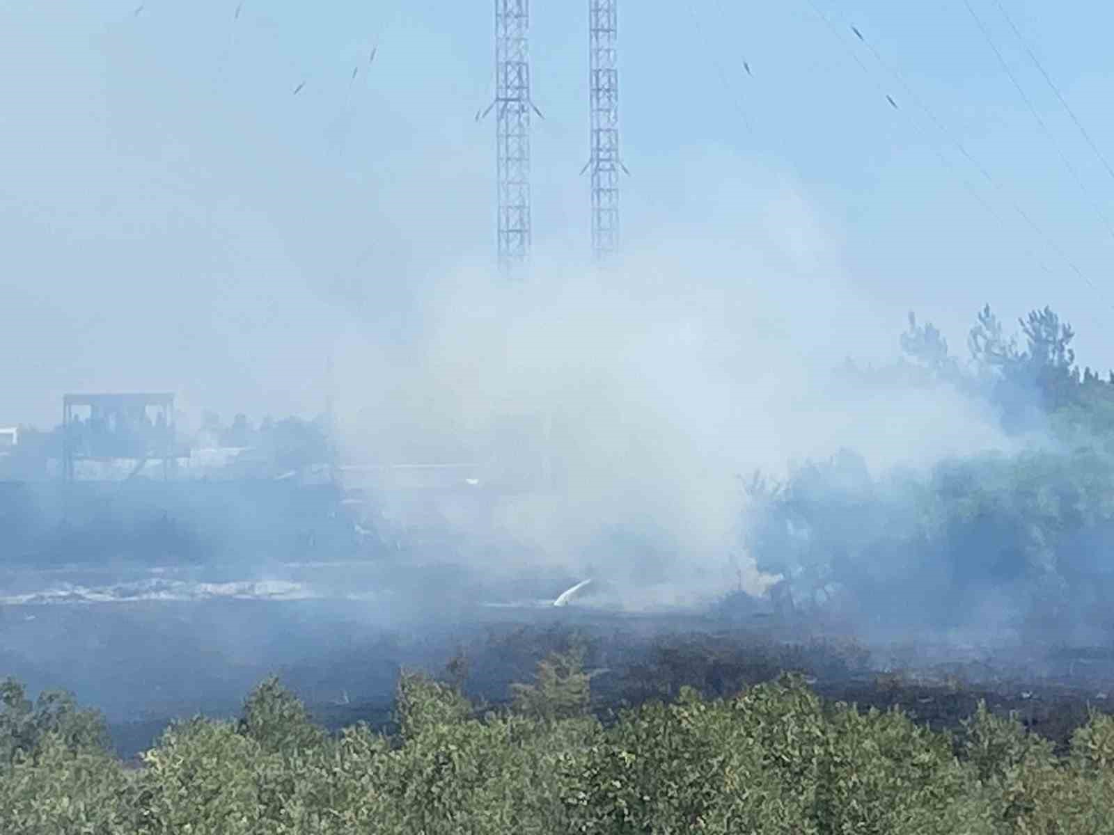 Serik’te korkutan yangında seralar zarar gördü
