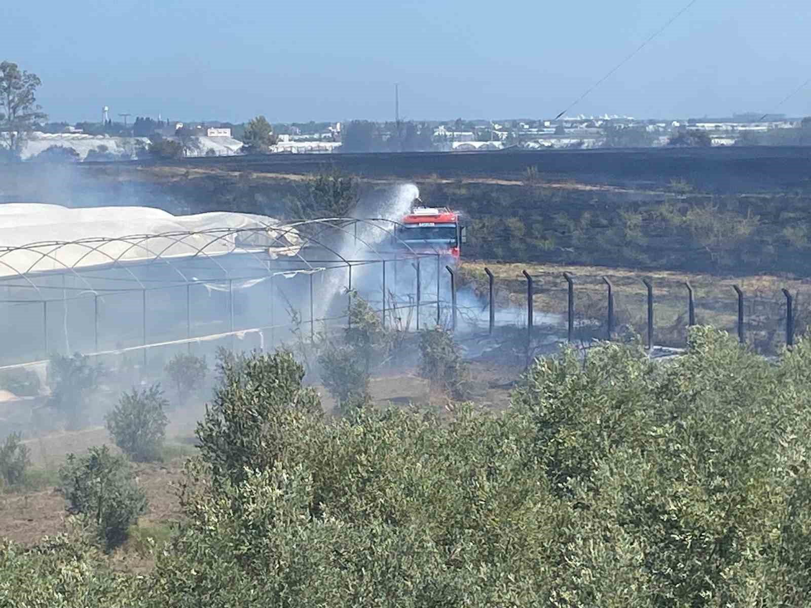 Serik’te korkutan yangında seralar zarar gördü
