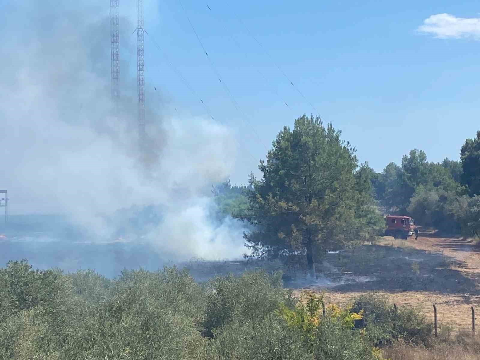 Serik’te korkutan yangında seralar zarar gördü
