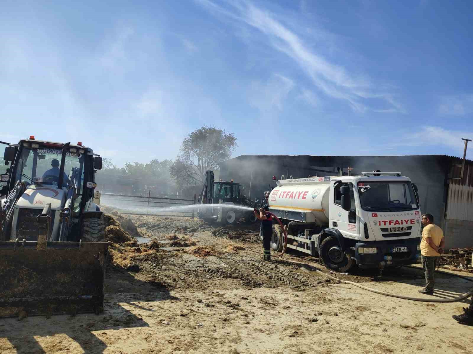 Edirne’de ahırda çılan yangında 35 büyükbaş hayvan telef oldu
