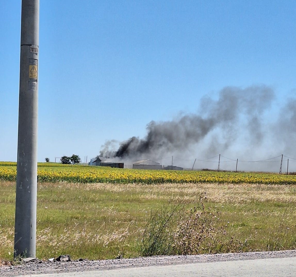 Tekirdağ’da çiftlikte yangın
