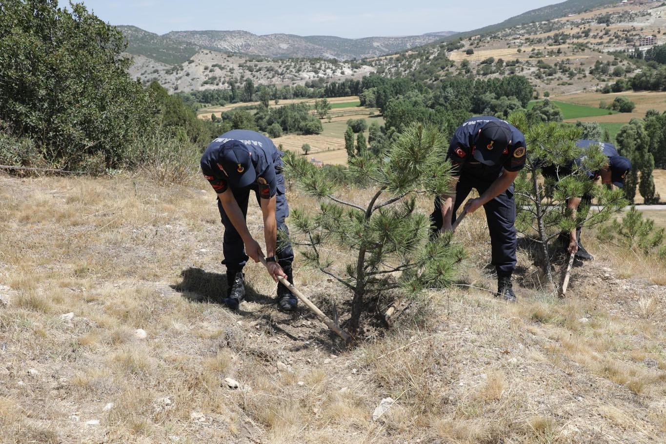 Kütahya’da 15 Temmuz şehitleri anısına fidan dikildi
