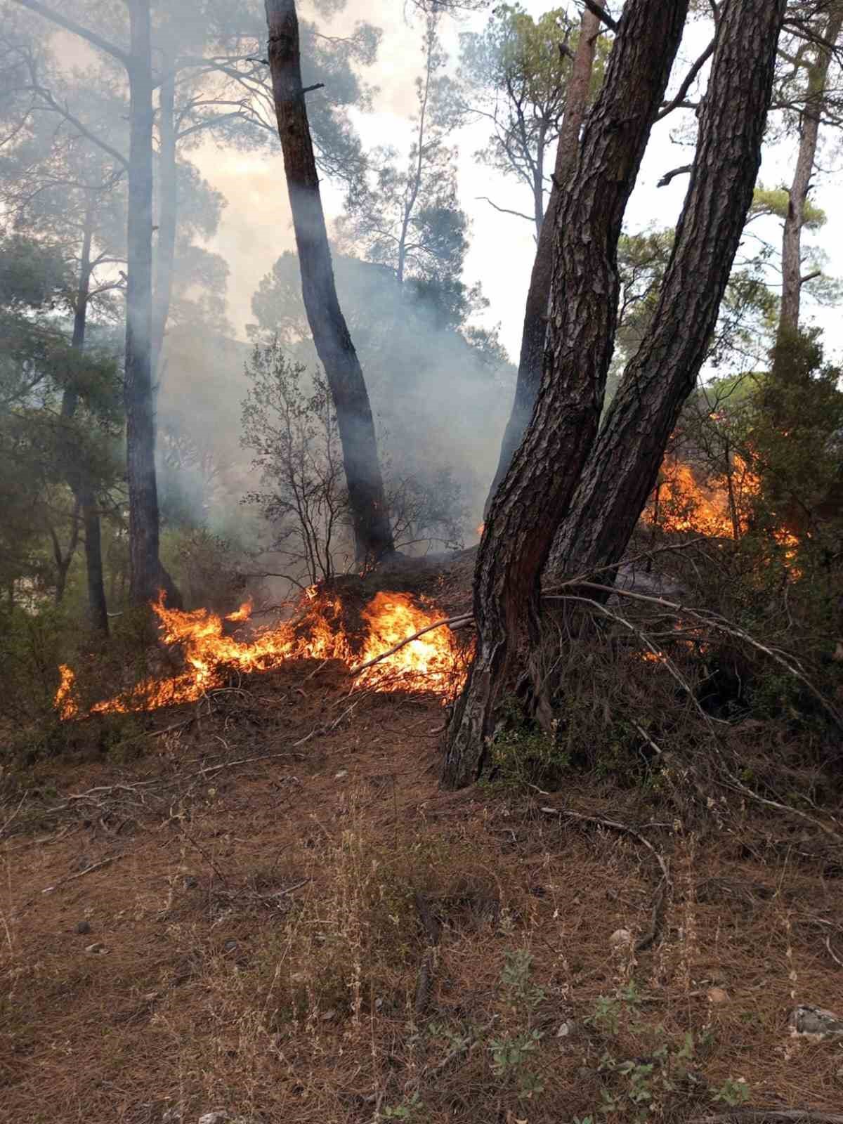 Muğla’da bir günde 11 yıldırım yangını
