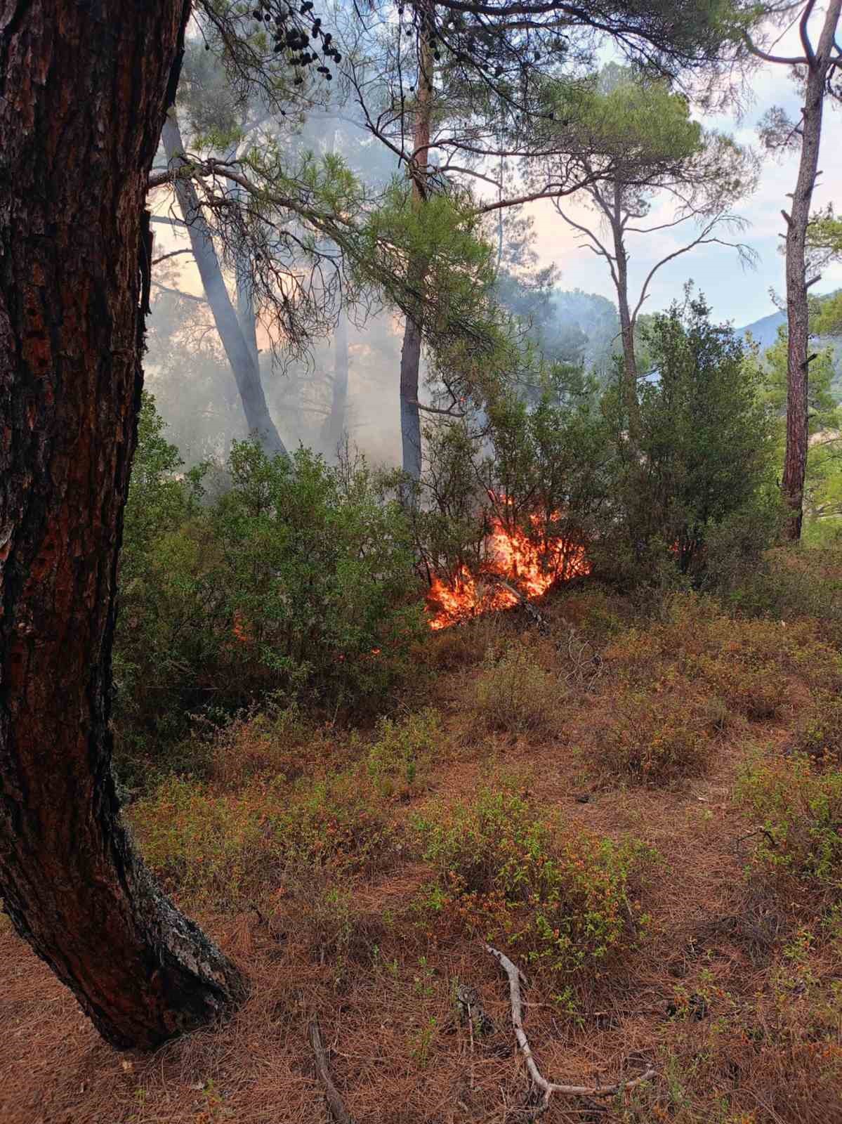 Muğla’da bir günde 11 yıldırım yangını
