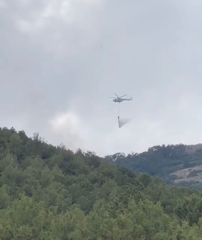 Başkarcı Dağında yıldırım düşmesi sonucu çıkan orman yangını söndürüldü
