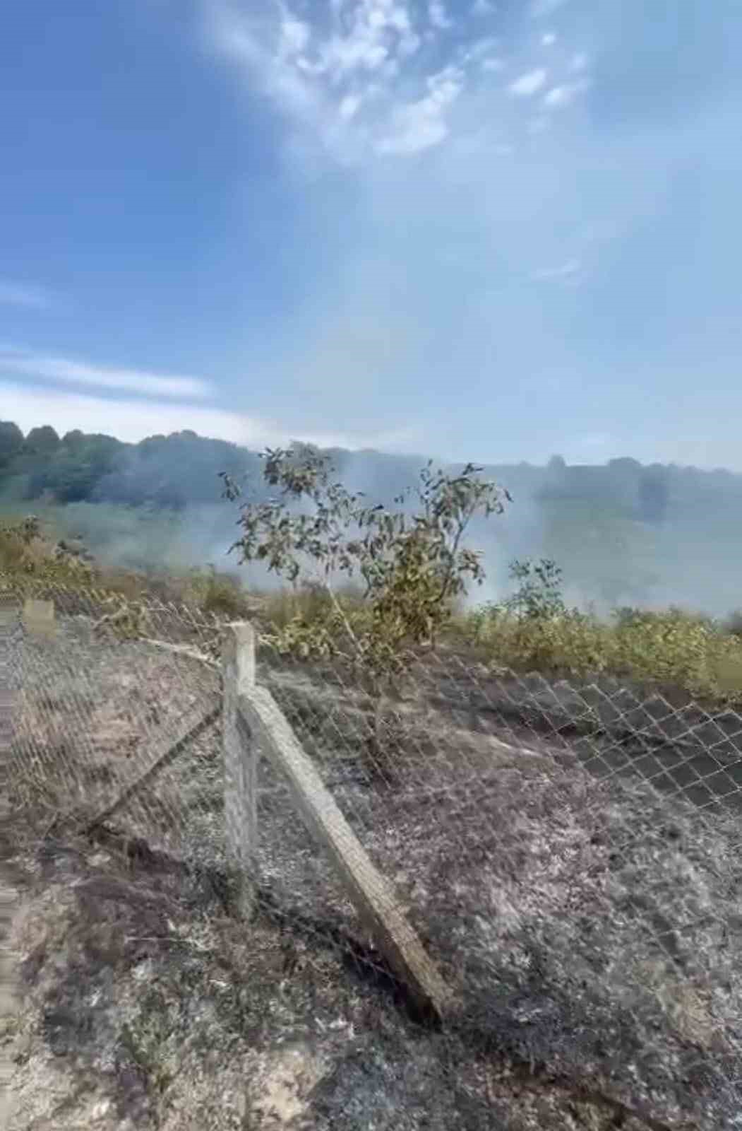 Alaplı’da Fındık Bahçesinde Yangın
