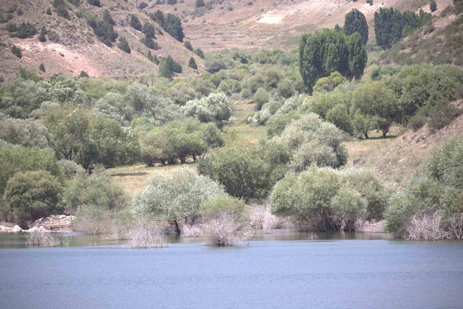 Sarıkamış’ta baraj suyu çekildi
