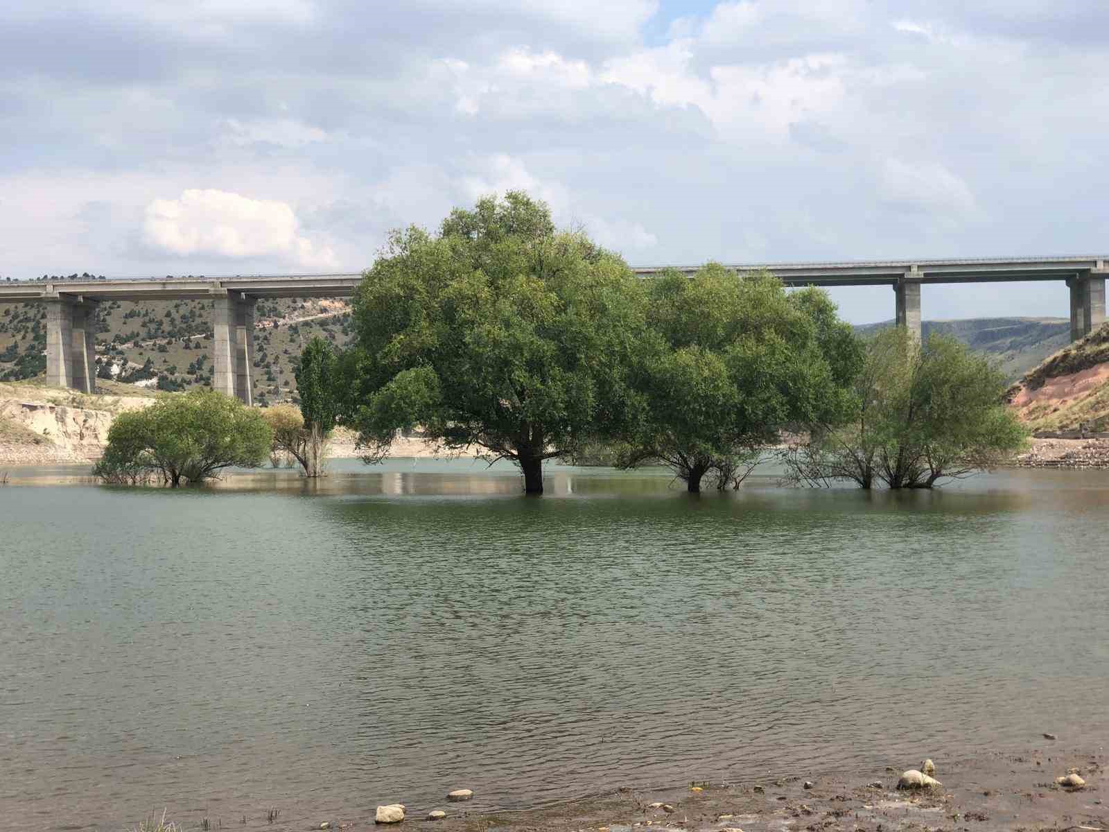 Sarıkamış’ta baraj suyu çekildi
