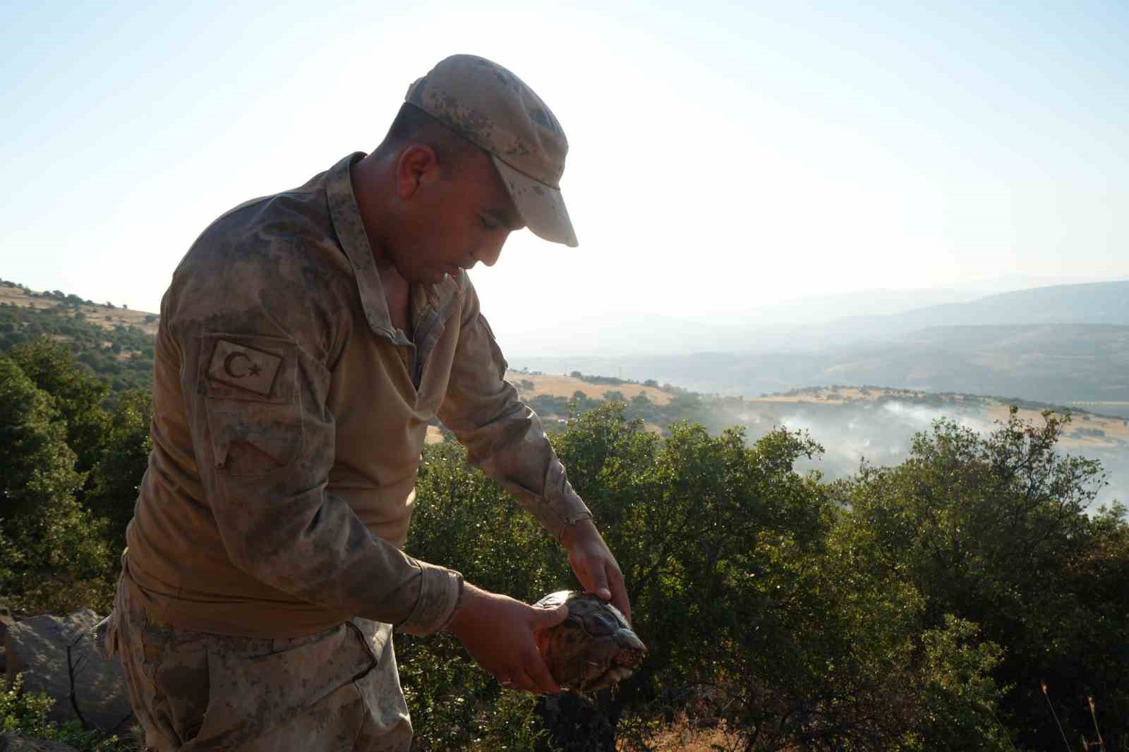 Kilis’te yangın ortasında kalan kaplumbağayı jandarma kurtardı
