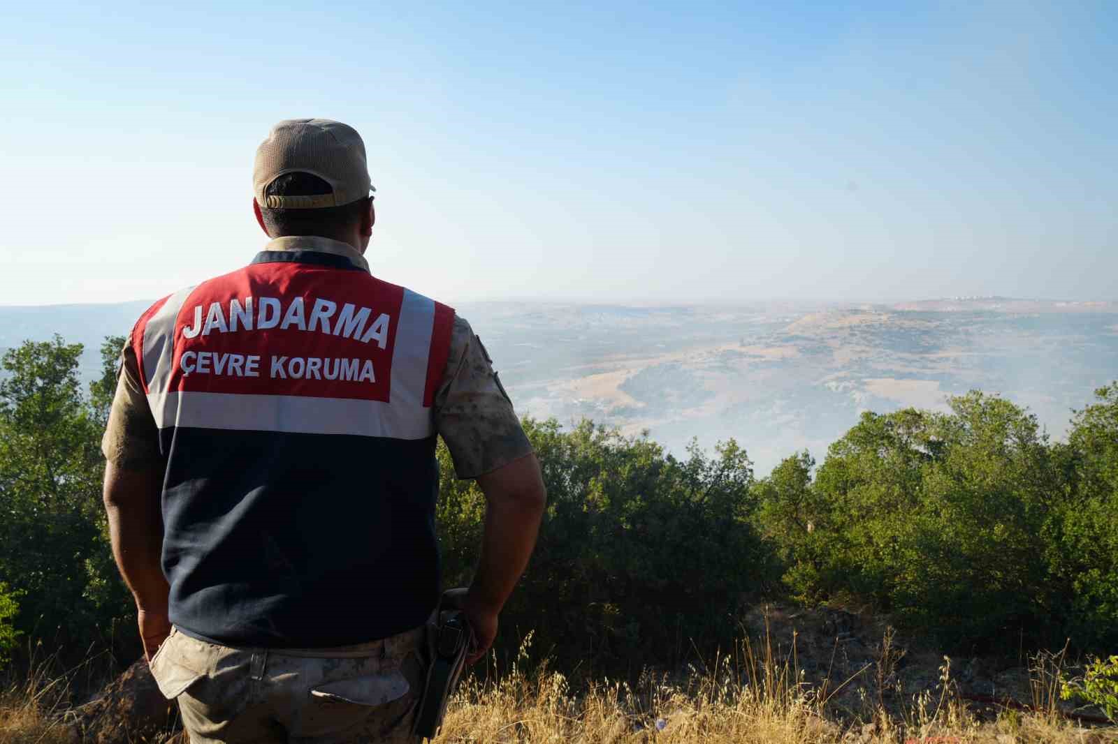 Kilis’te yangın ortasında kalan kaplumbağayı jandarma kurtardı
