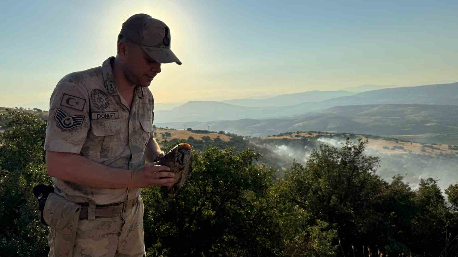 Kilis’te yangın ortasında kalan kaplumbağayı jandarma kurtardı
