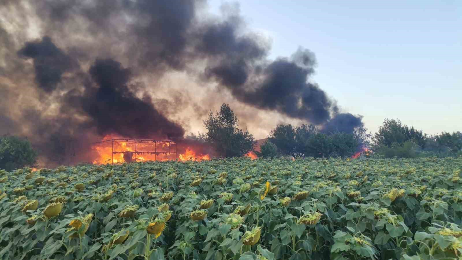 Kırklareli’nde yangın: Bağ evi kullanılmaz hale geldi
