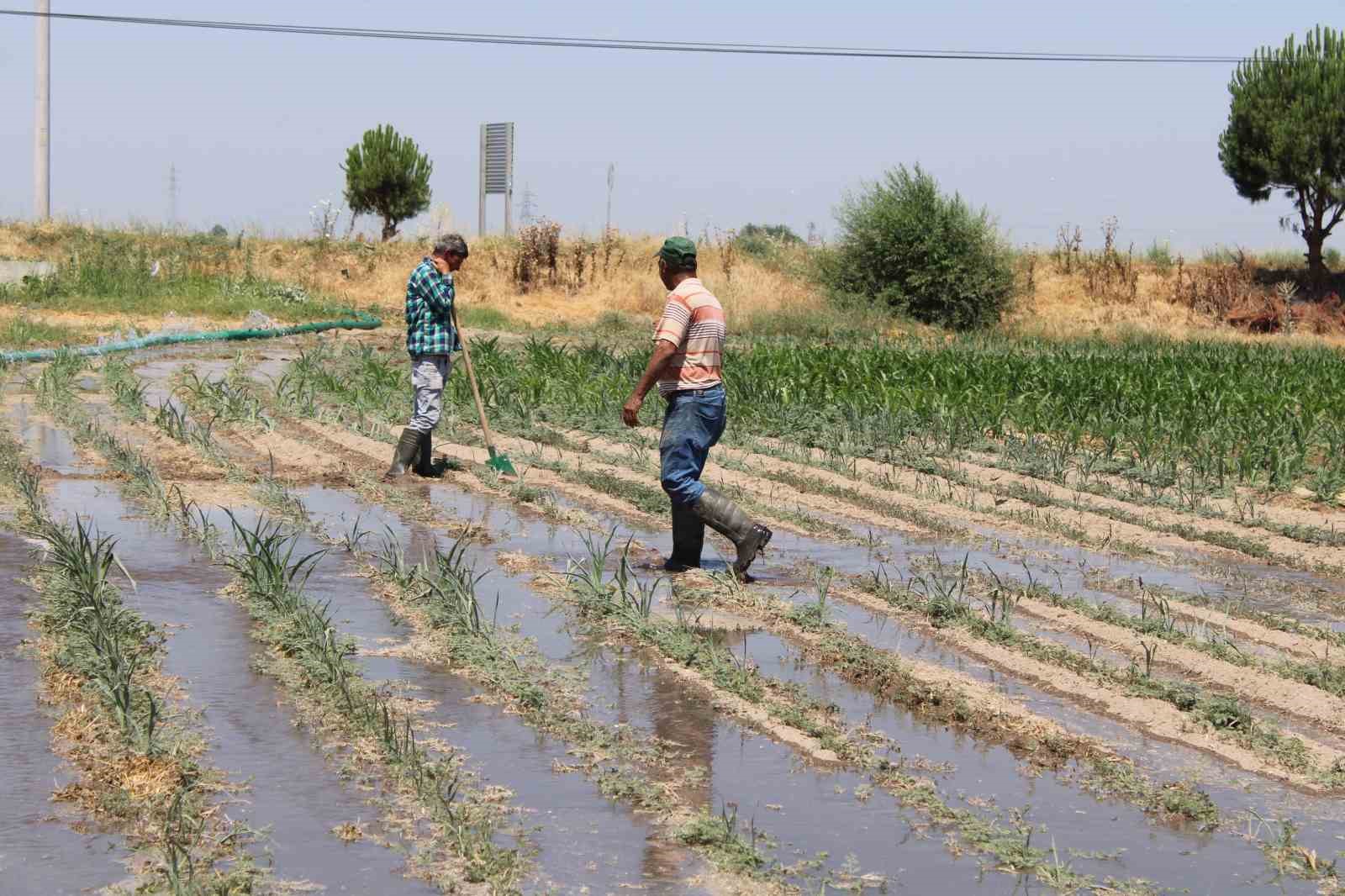 Gençlerin masa başı iş sevdası Türk tarımına alarm verdiriyor
