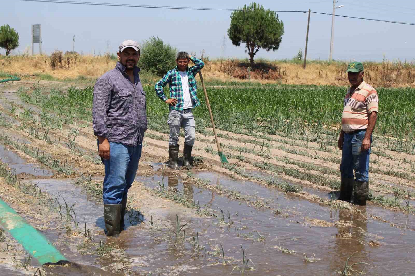 Gençlerin masa başı iş sevdası Türk tarımına alarm verdiriyor
