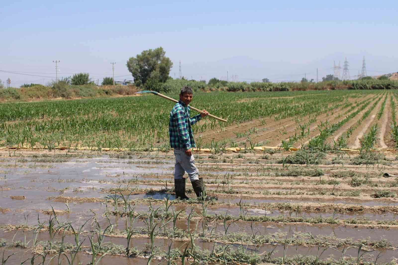 Gençlerin masa başı iş sevdası Türk tarımına alarm verdiriyor
